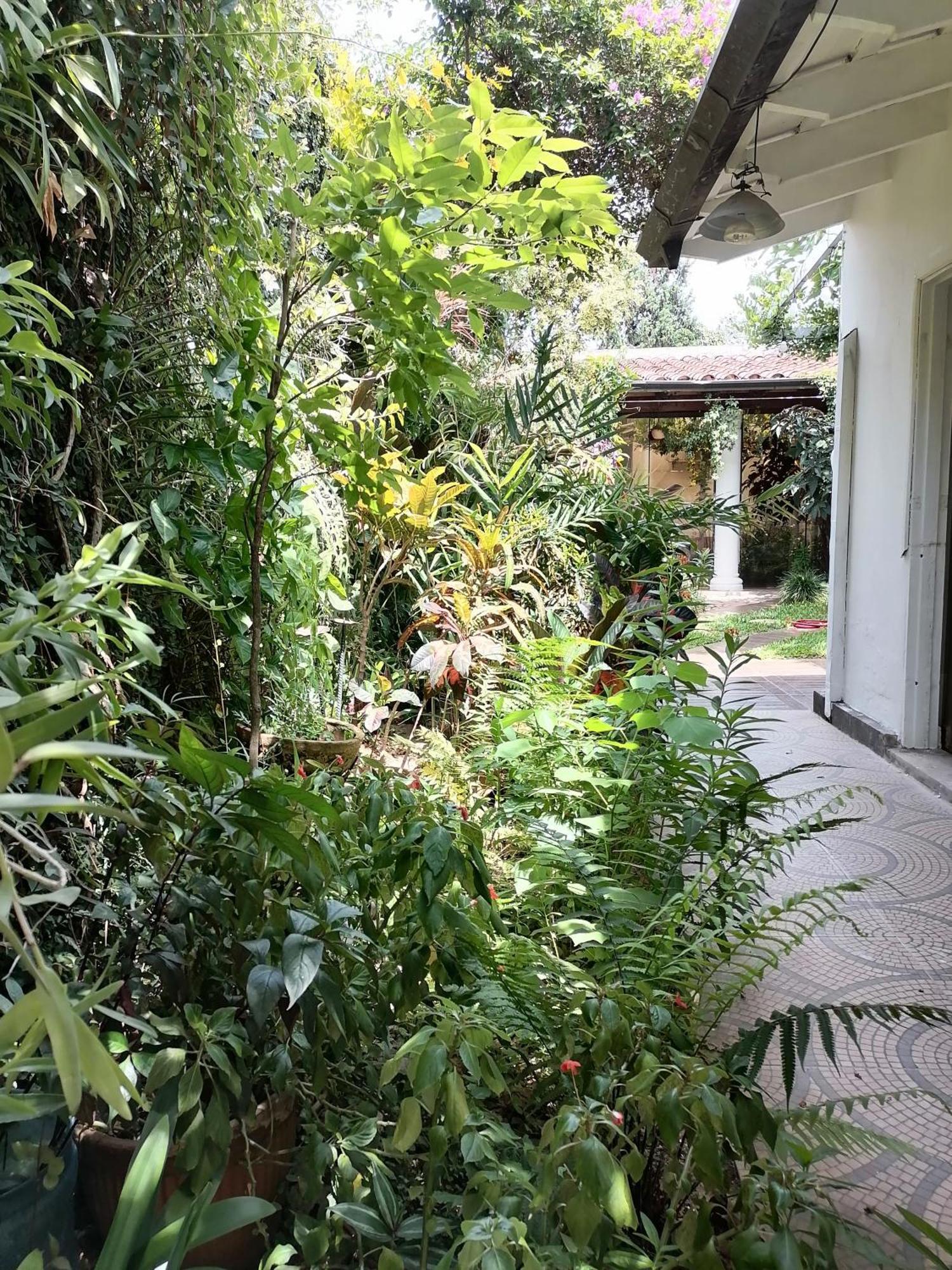 Bed and Breakfast Granados Asunción Exterior foto