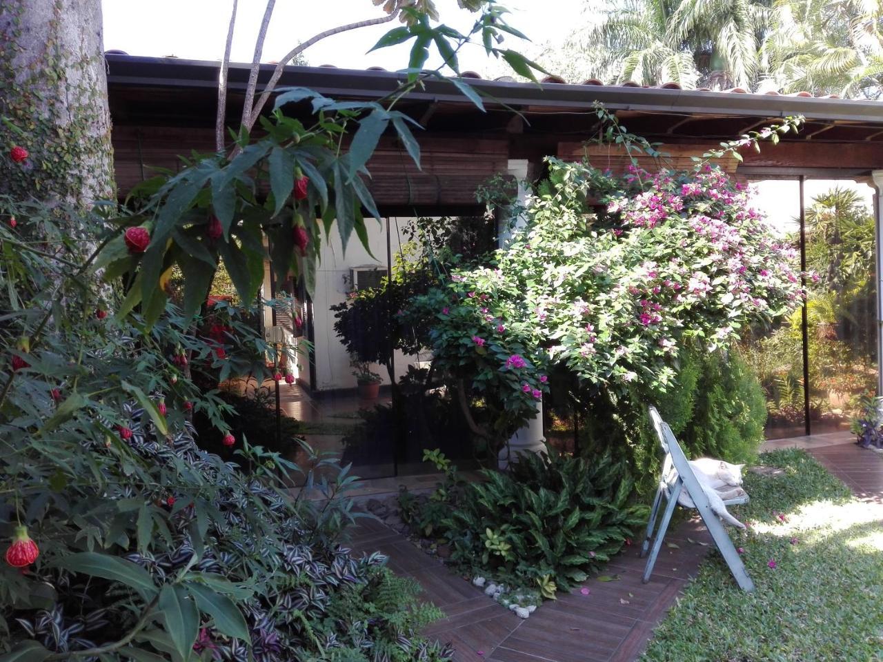 Bed and Breakfast Granados Asunción Exterior foto
